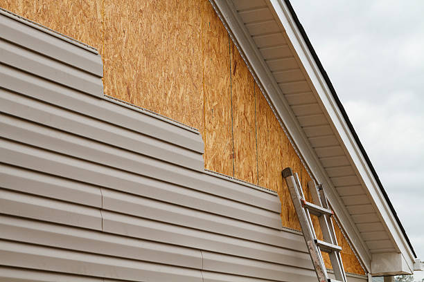 Affordable siding repair and maintenance services in Newcastle, WA